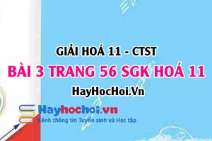 Giải bài 3 trang 56 Hoá 11 SGK Chân trời sáng tạo